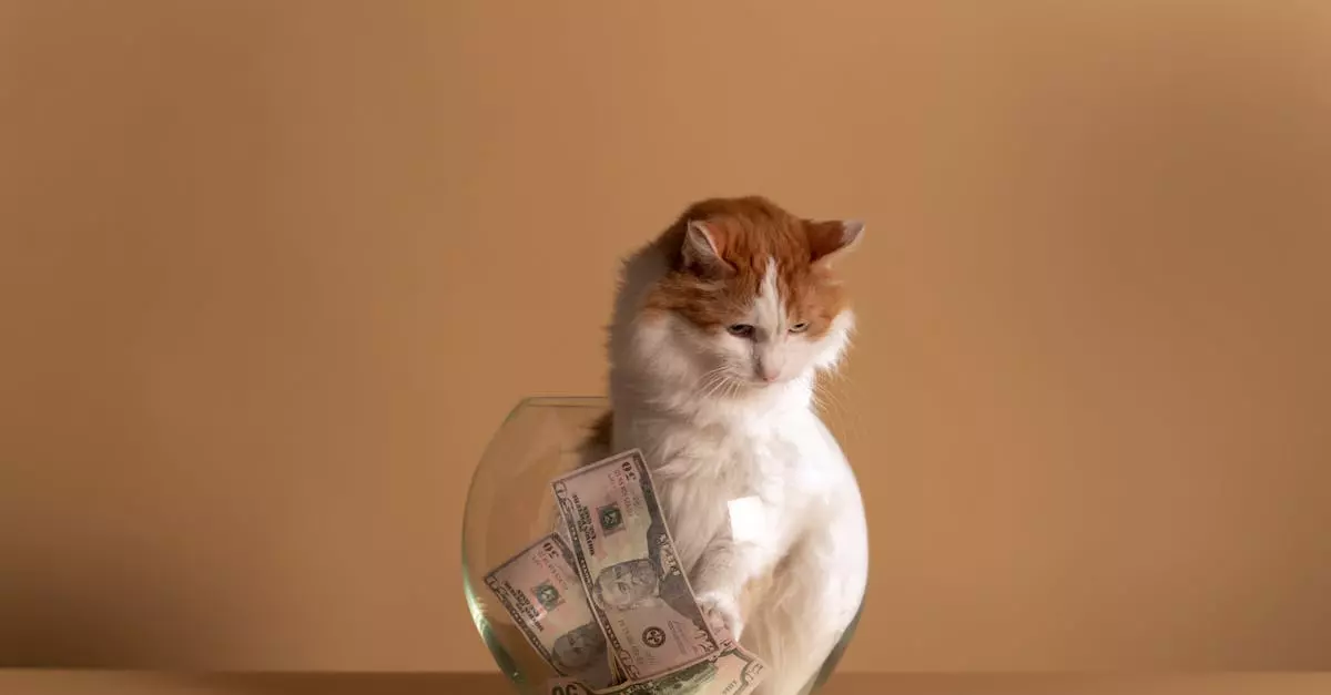 O Nome Perfeito para o Seu Pet: Dicas e Inspiração!